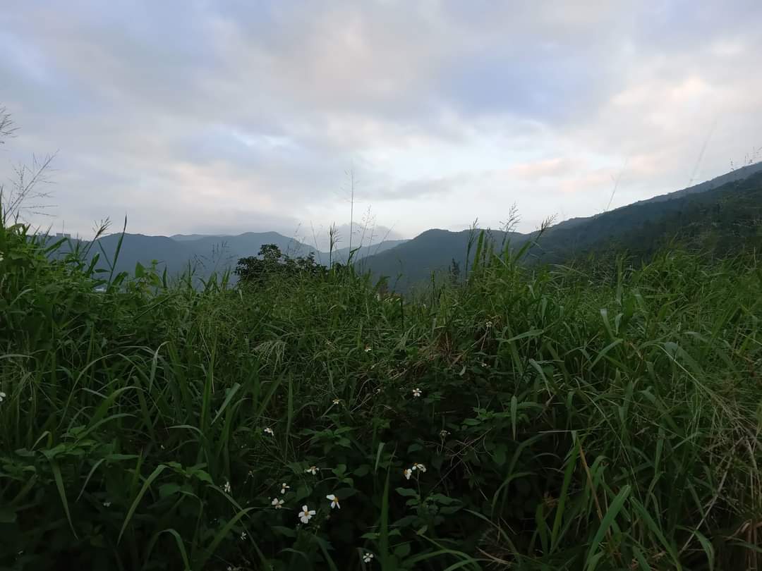 Son Tra Mountain Range in Vietnam